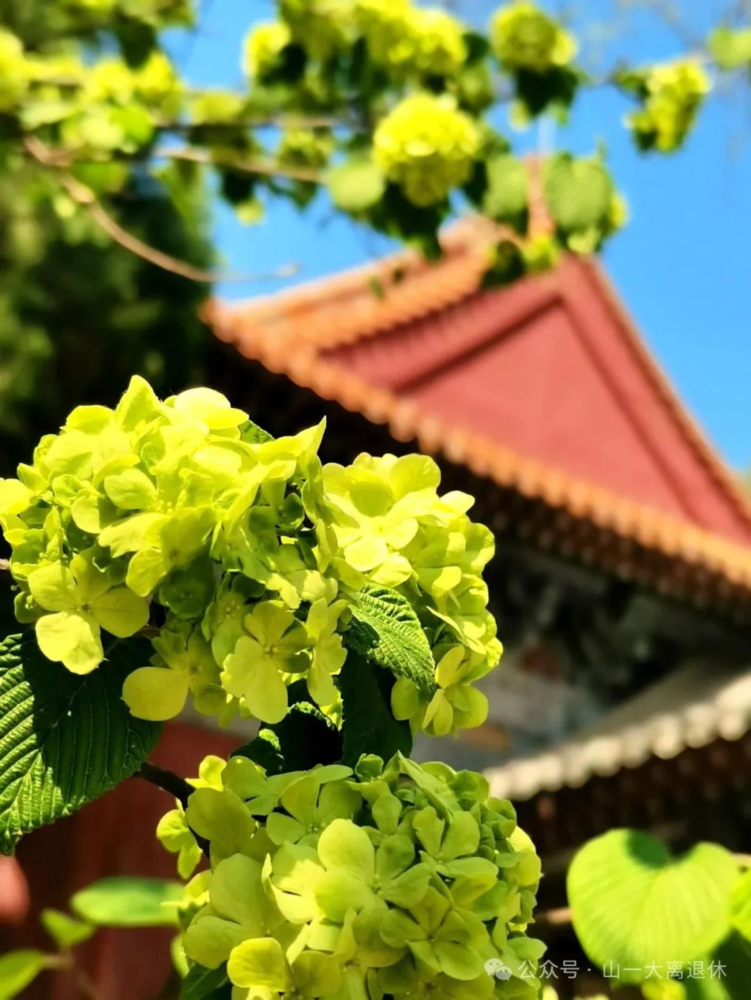 校（院）离退休教职工“翰墨传薪火·光影映辉煌”书法、绘画、摄影展（第三部分）